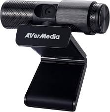 AVerMedia CAM 313